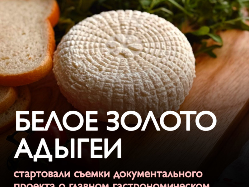«Белое золото Адыгеи»: стартовали съемки документального проекта о главном гастрономическом бренде региона - НОВОСТИ | Адыгэ макъ